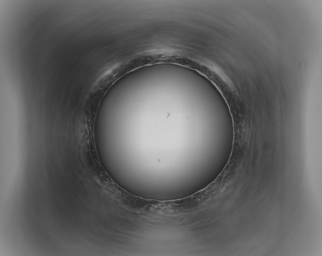 X0000111480967200907210945