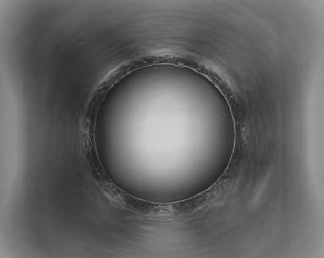 X0000111480968200907210945
