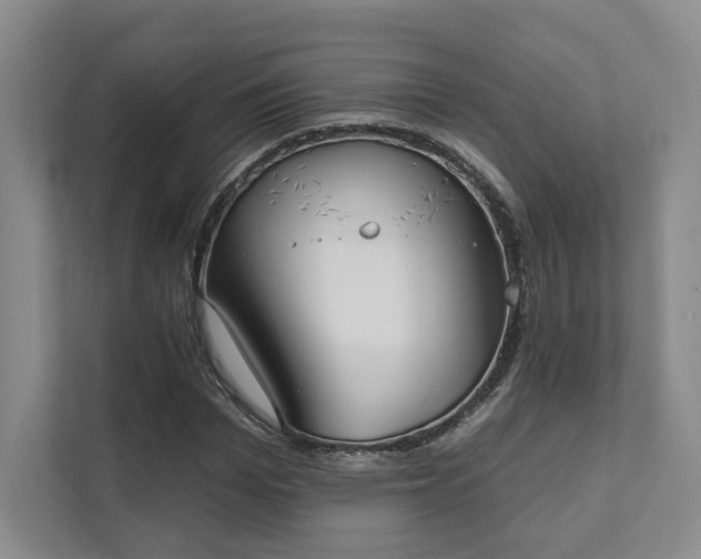 X0000111480969200907210945