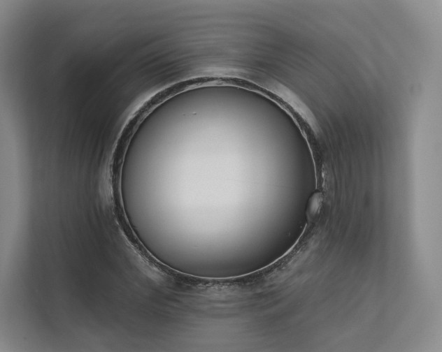 X0000111480972200907210945