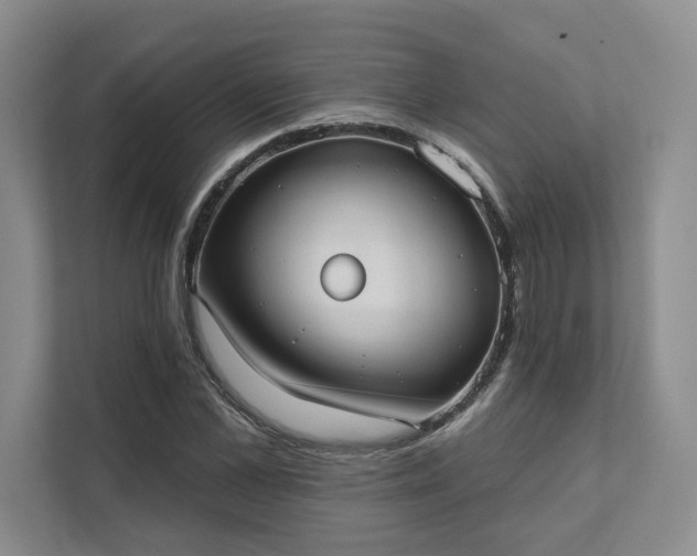 X0000111480973200907210945