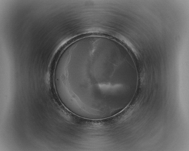X0000111480975200907210945