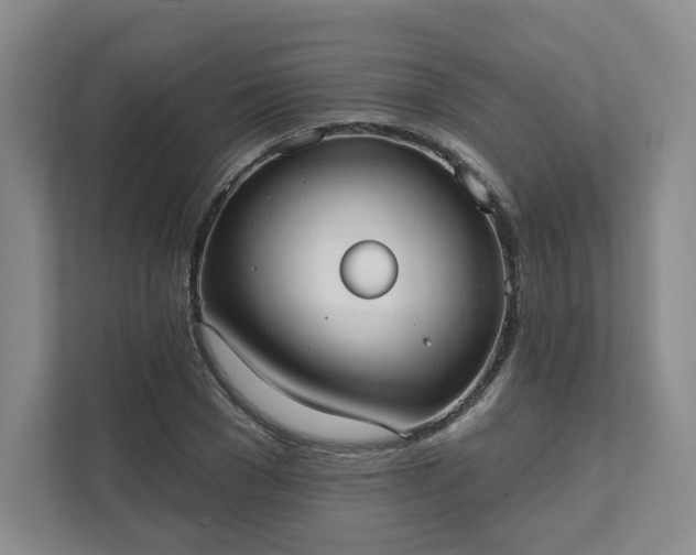 X0000111480977200907210945
