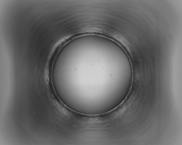 X0000111480979200907210945