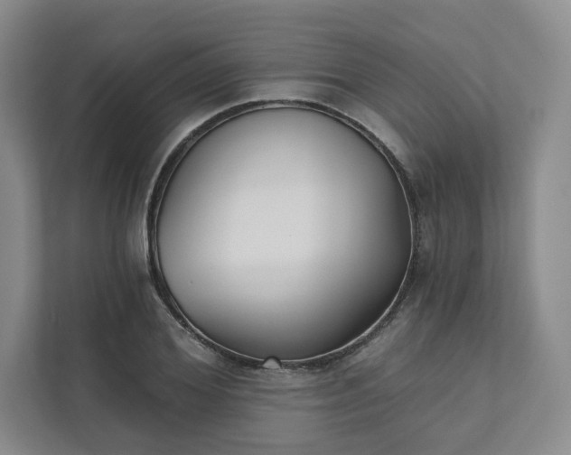 X0000111480980200907210945