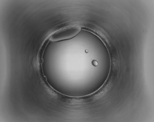 X0000111480981200907210945