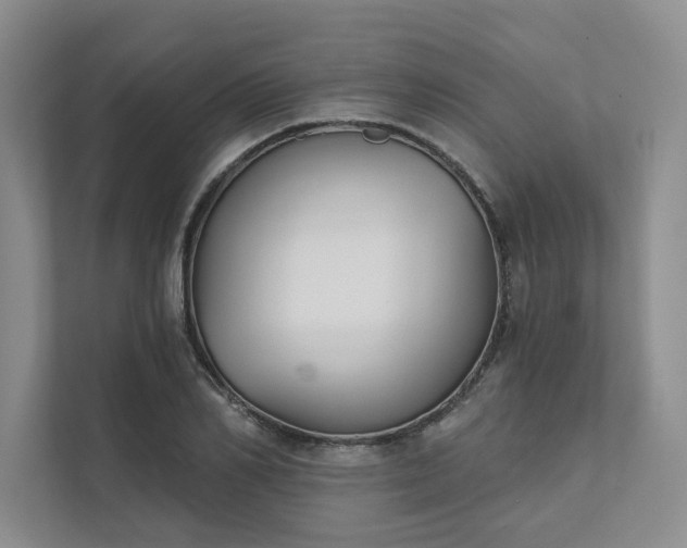 X0000111480982200907210945