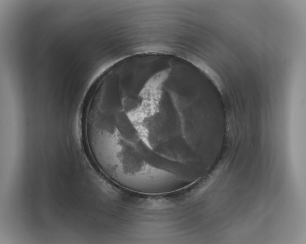 X0000111480983200907210945