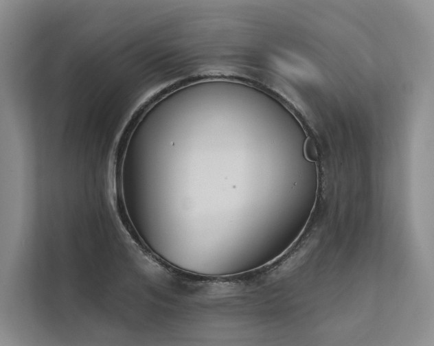 X0000111480984200907210945