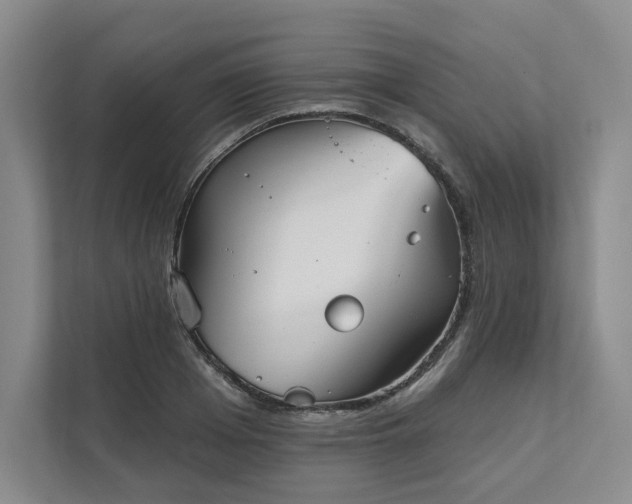 X0000111480985200907210945