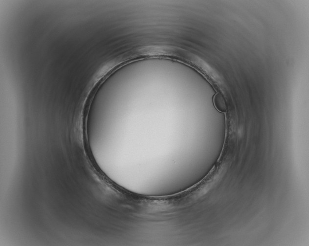 X0000111480986200907210945