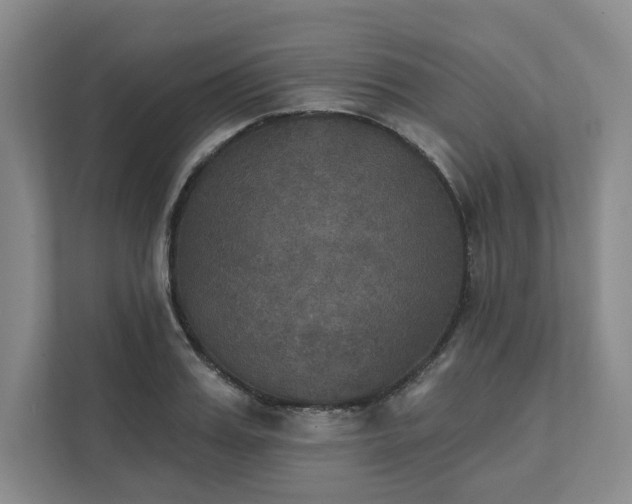 X0000111480987200907210945