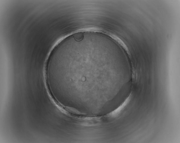 X0000111480989200907210945