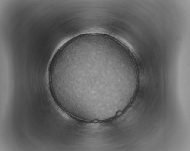 X0000111480990200907210945