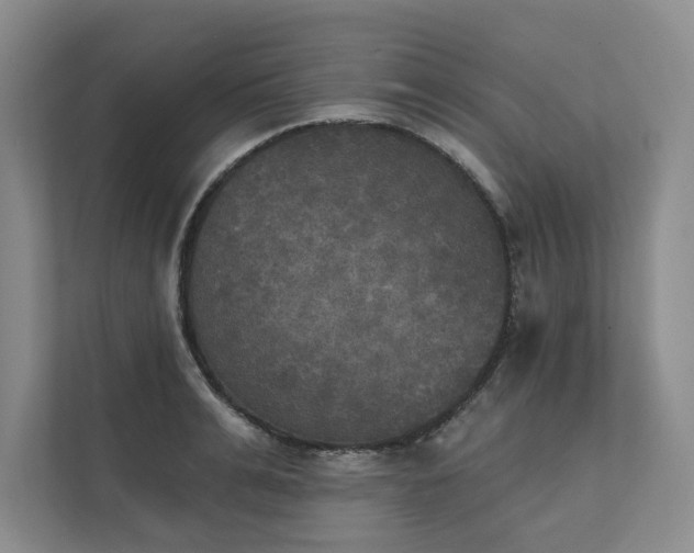 X0000111480991200907210945