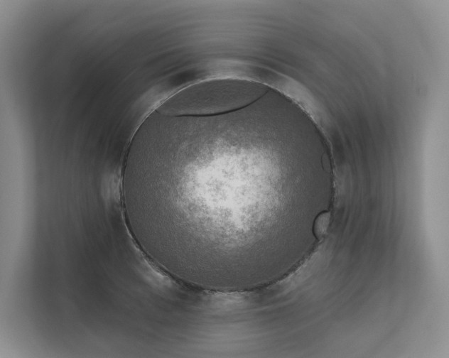 X0000111480993200907210945
