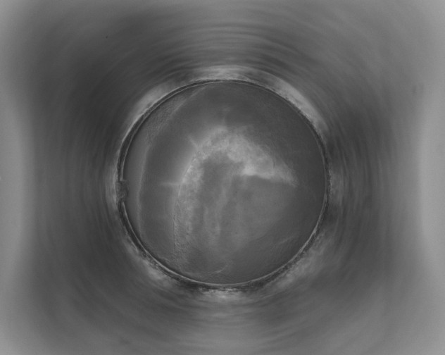 X0000111480994200907210945