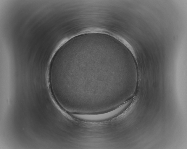 X0000111480997200907210945
