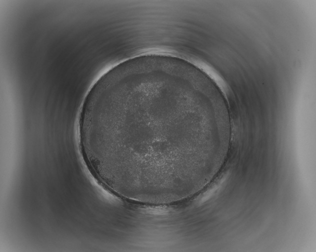 X0000111480999200907210945