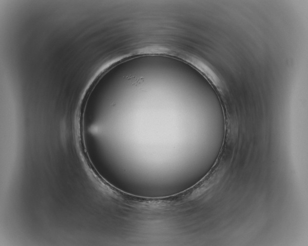 X0000111481000200907210945