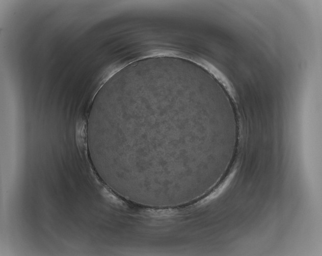 X0000111481001200907210945
