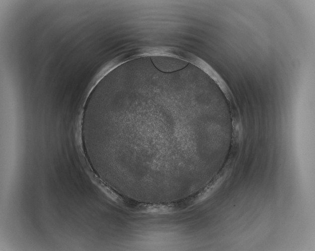 X0000111481002200907210945