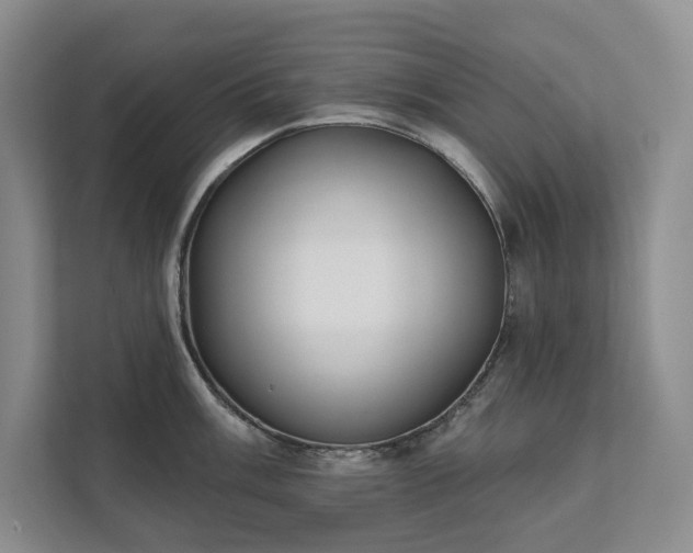 X0000111481003200907210945