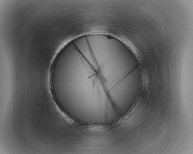 X0000111481006200907210945