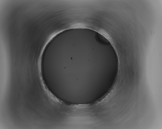 X0000111481008200907210945