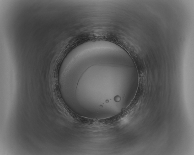 X0000111481009200907210944