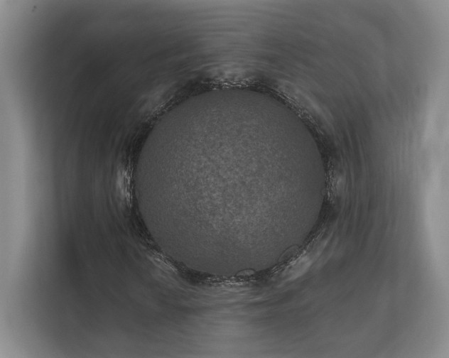 X0000111481010200907210944