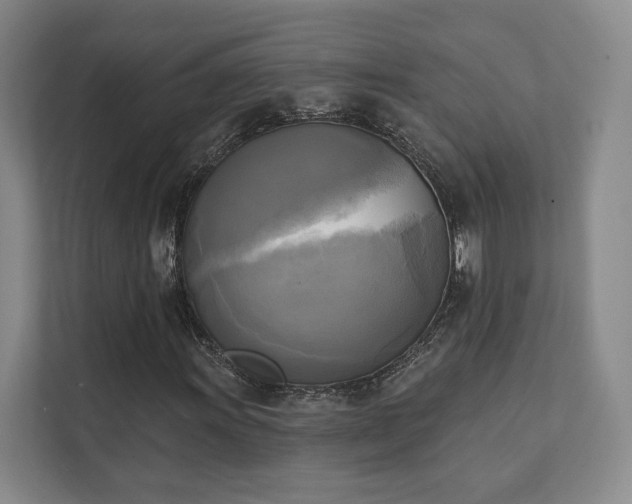 X0000111481011200907210944