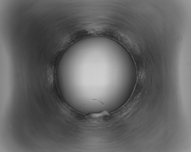 X0000111481012200907210944