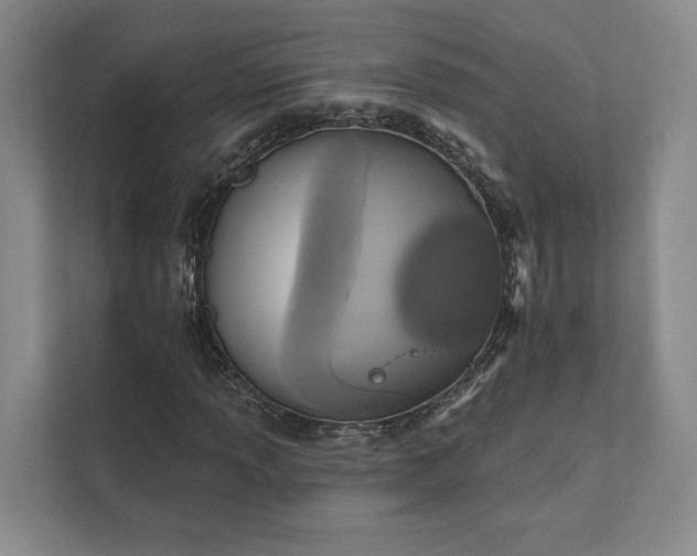 X0000111481013200907210944