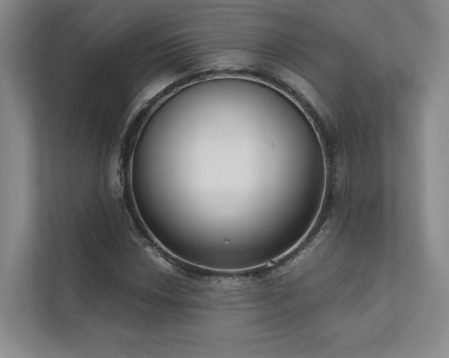 X0000111481018200907210944