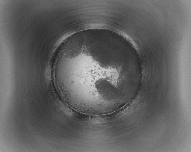 X0000111481019200907210944