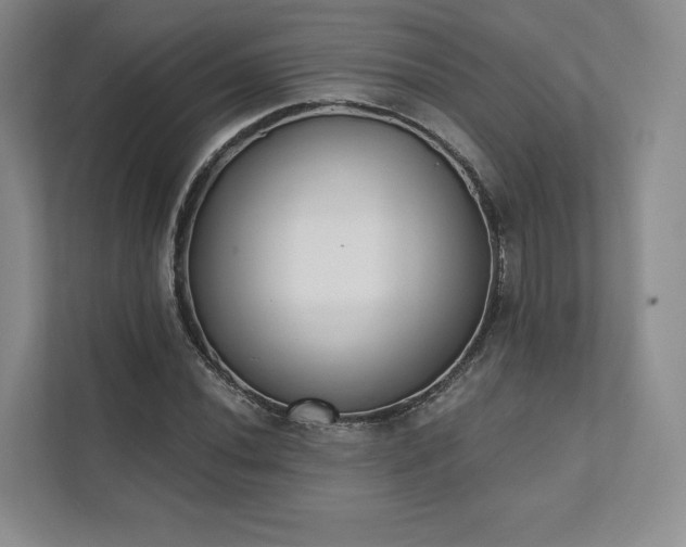 X0000111481020200907210944