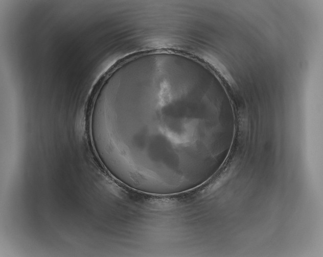 X0000111481023200907210944