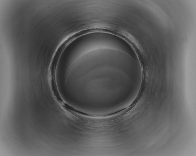 X0000111481024200907210944