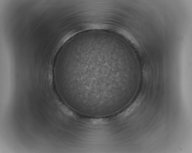 X0000111481025200907210944