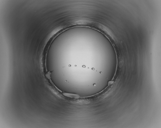 X0000111481026200907210944