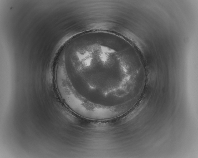 X0000111481027200907210944