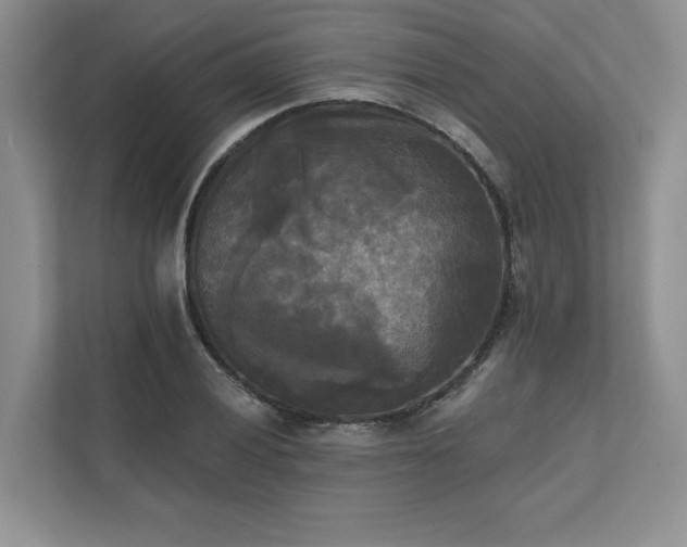 X0000111481028200907210944
