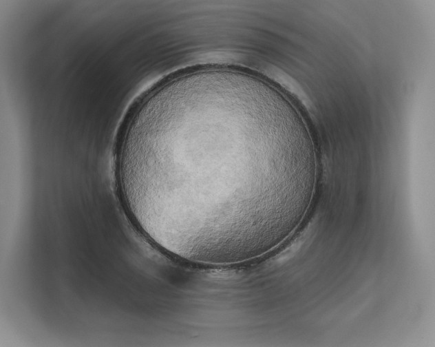 X0000111481029200907210944