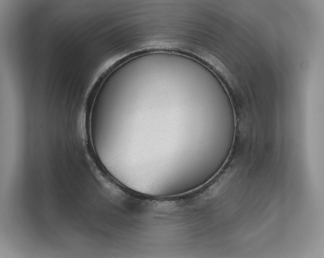 X0000111481030200907210944