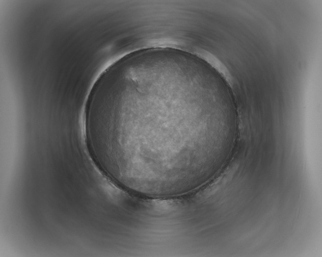 X0000111481032200907210944