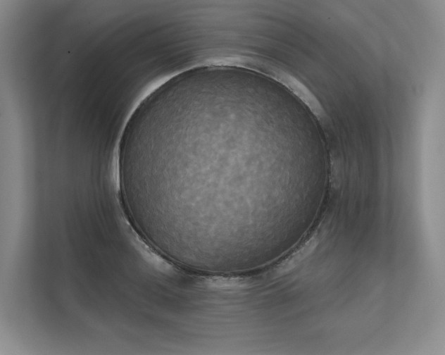 X0000111481036200907210944
