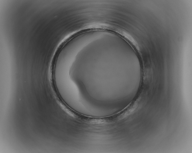 X0000111481037200907210944