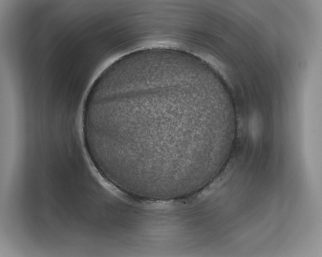 X0000111481038200907210944