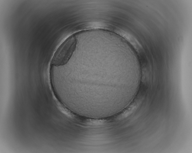 X0000111481039200907210944